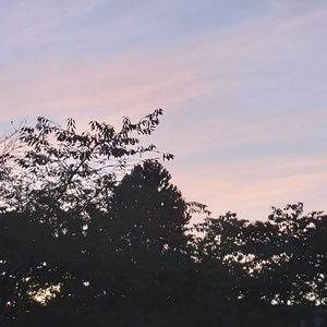 Meet your Posher, Mei